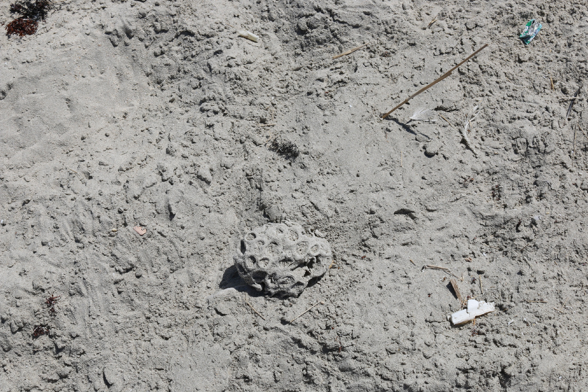 «Иногда работа превращается в пустыню, где вместо плодов — фантики»