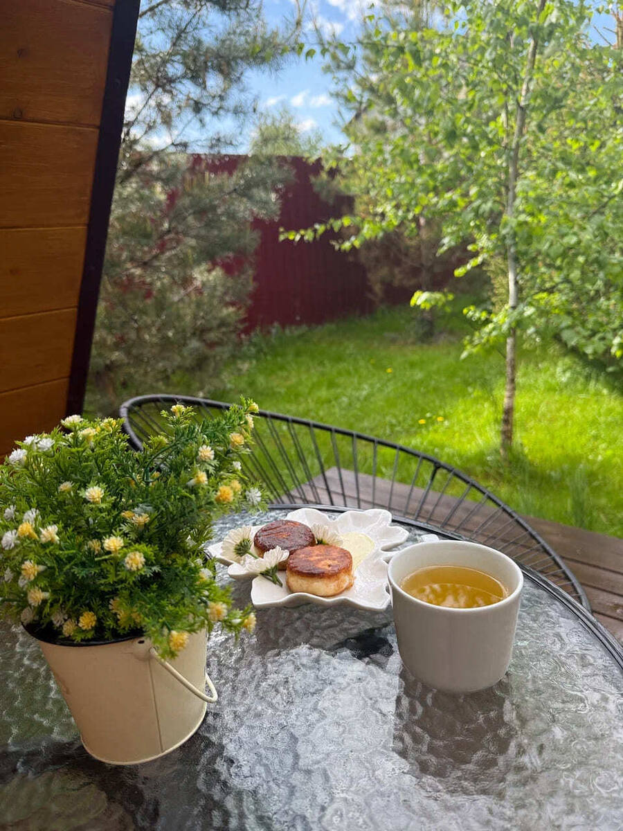 Весенний пейзаж и цветущие деревья у домика Афрейм Хэппи в Подмосковье