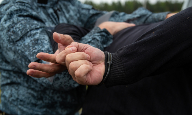    фото: © Столица на Онего