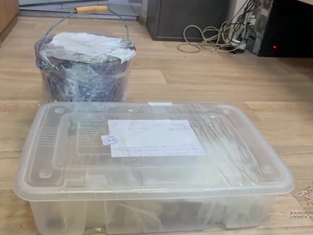    Фото: МАХ/"Ирина Волк"