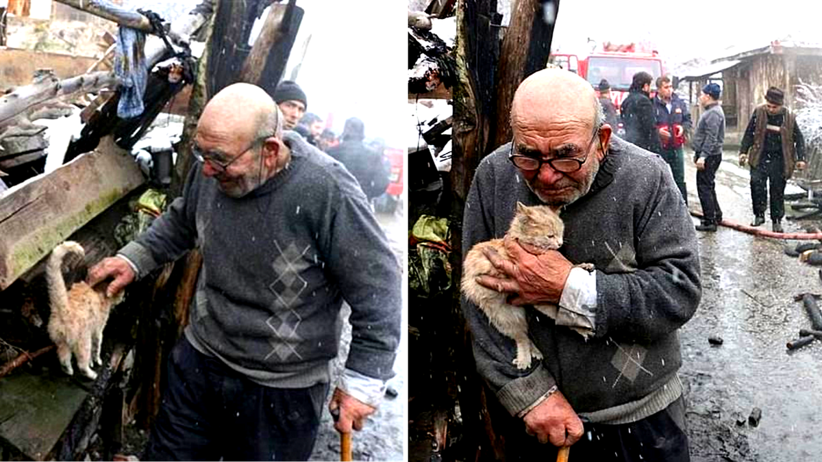 Обходя пожарище Али увидел чудом спасшегося питомца. Этот снимок облетел весь мир. ЕЩЕ ->