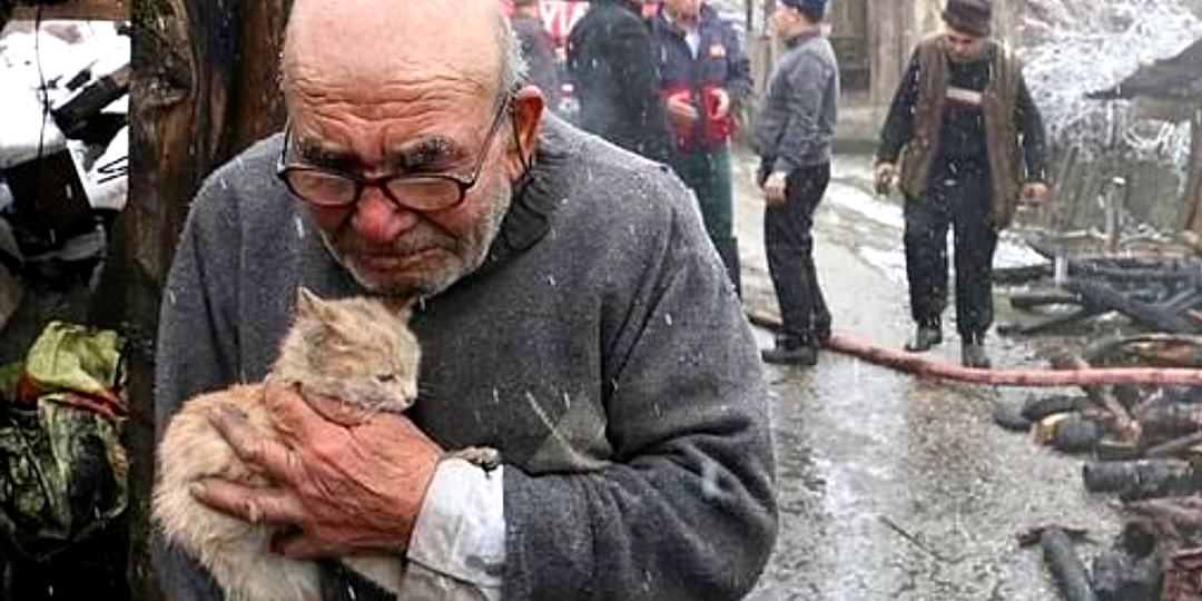 Фото котёнка на руках пожилого мужчины растрогало весь мир: что стало с ними потом