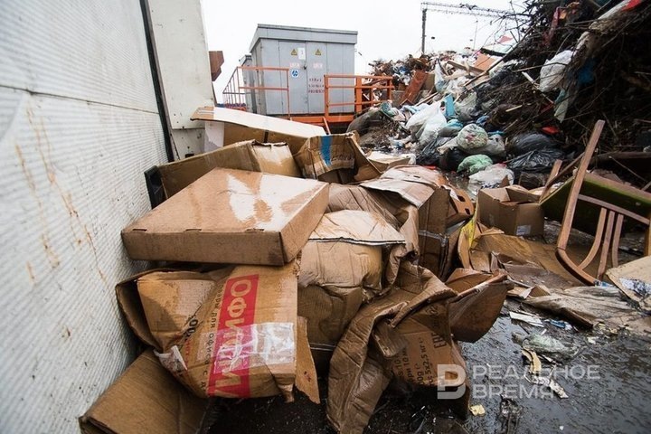   Максим Платонов / realnoevremya.ru