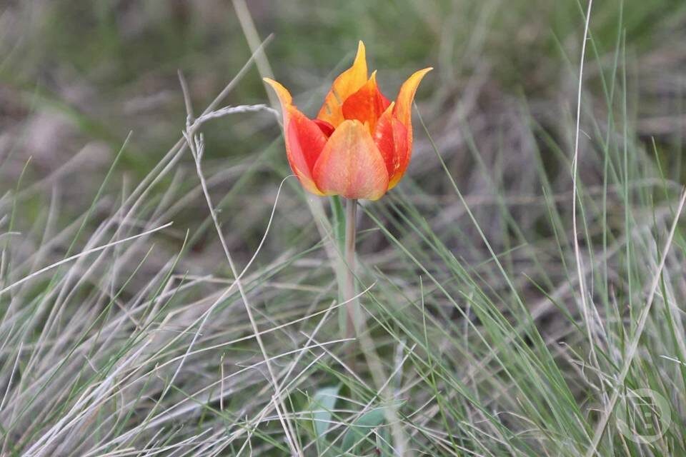    Фото: Дмитрий Рогулин/"Городские вести"