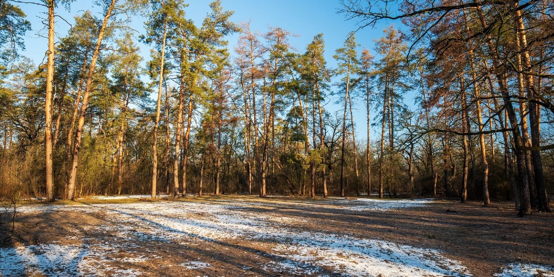 Ефимов день 24 марта: почему наши предки клали в карман мелочь и боялись трогать котят, народные приметы и запреты