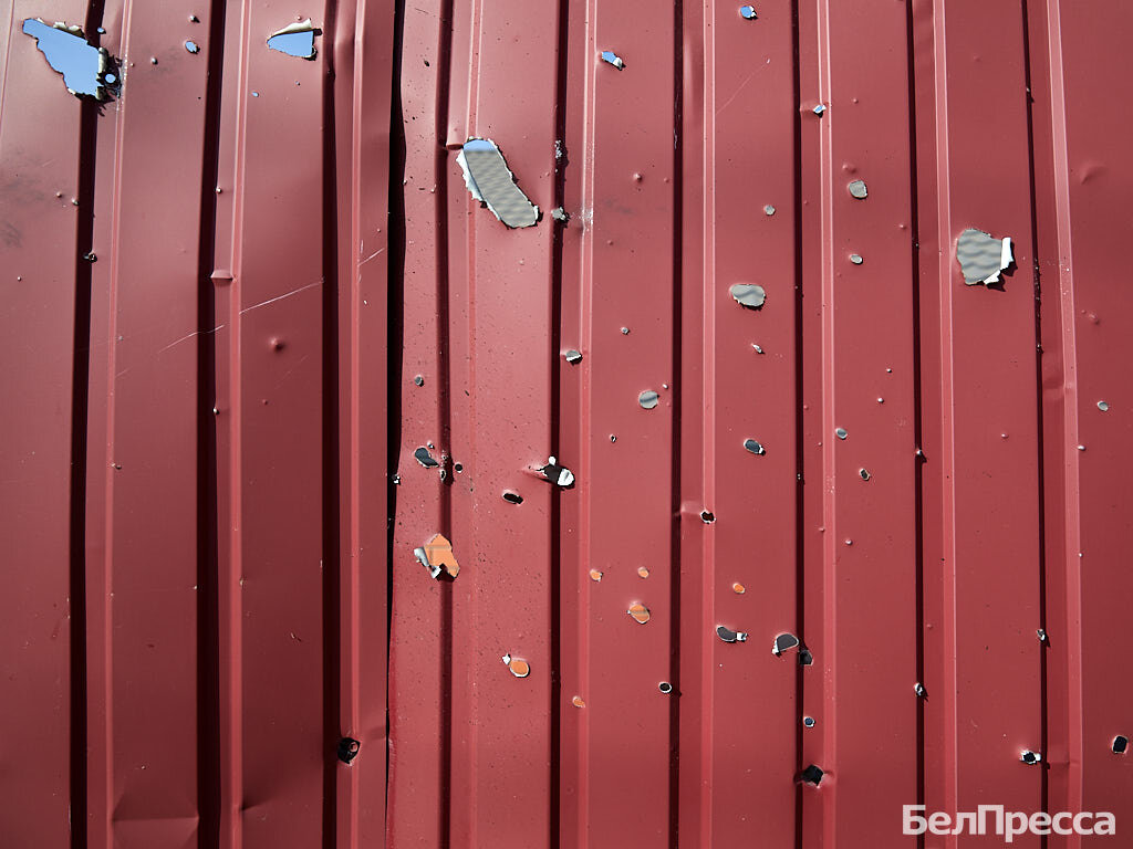     Фото: Елена Журавлёва (архив)