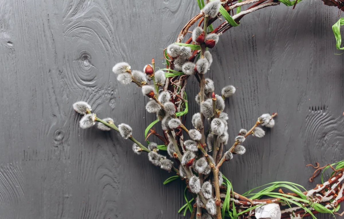 Фото: MALINKA / GoodFon.ru