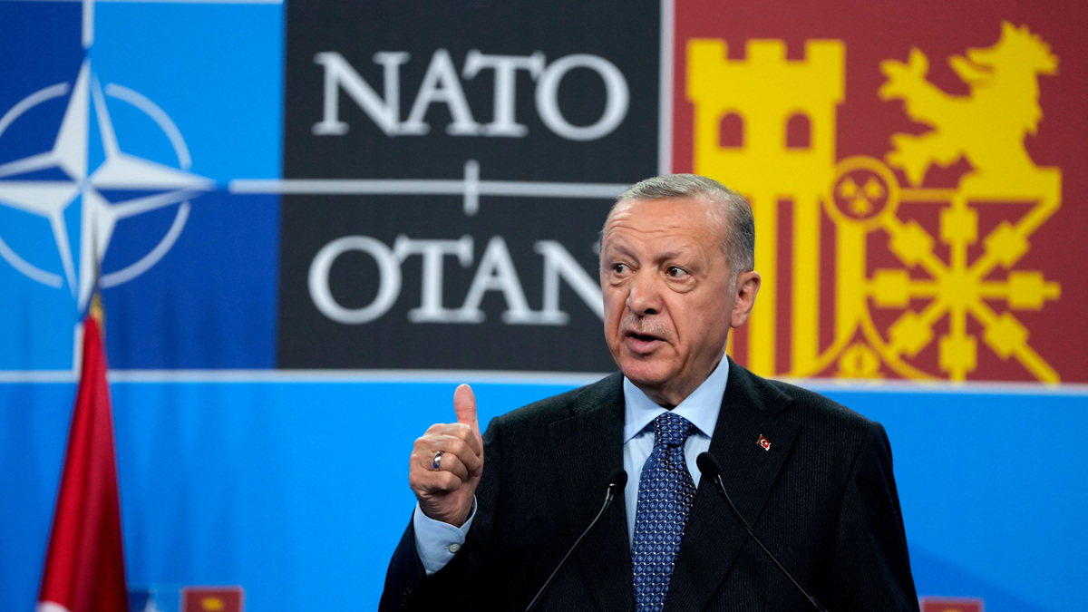   Эрдоган НАТО AP