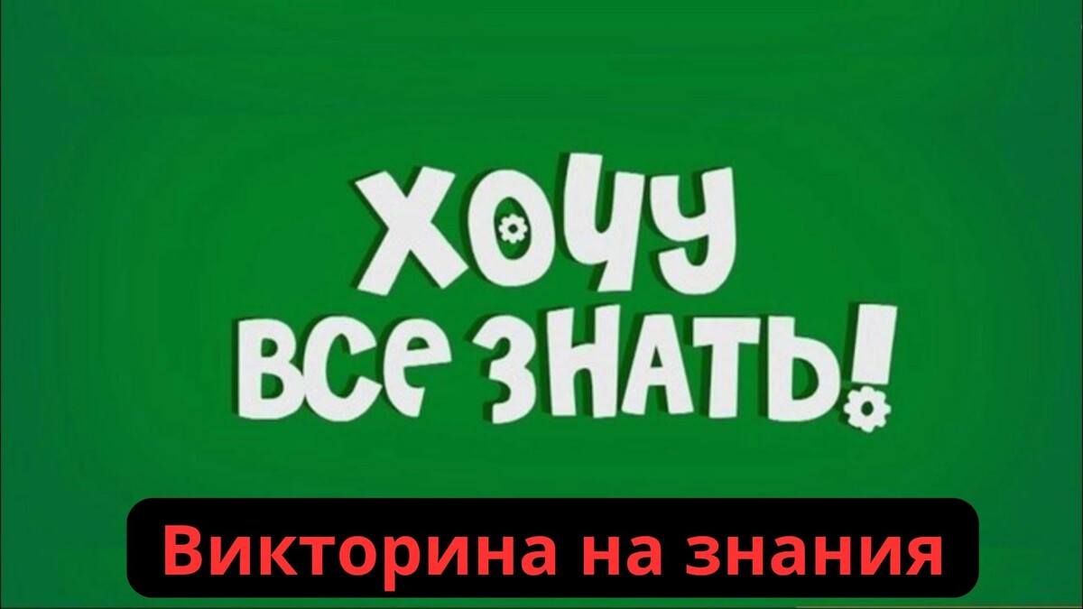 Викторина