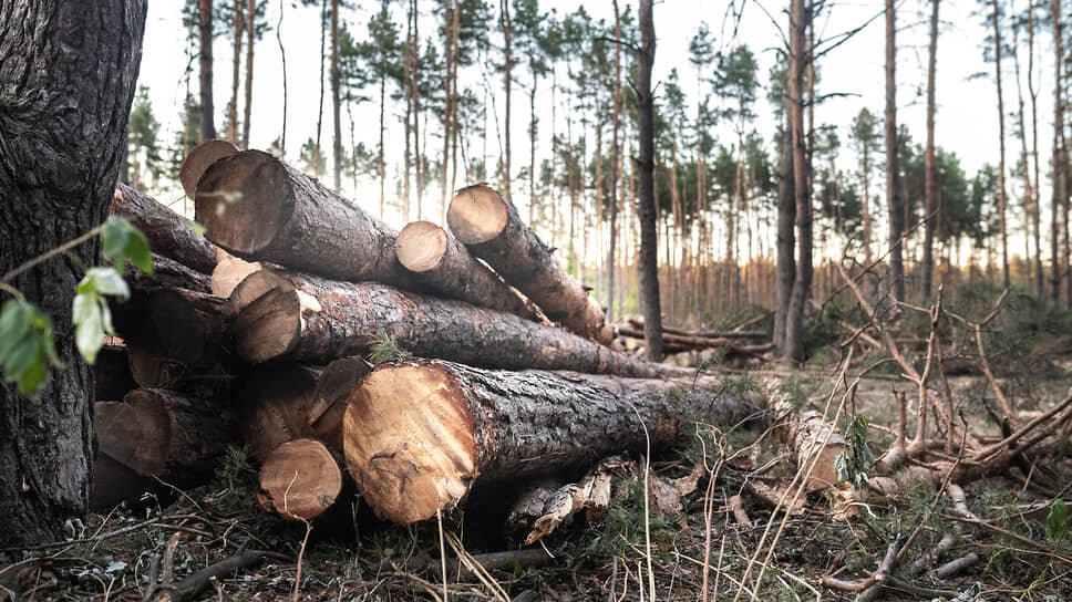Фото: Игорь Елисеев / Коммерсантъ