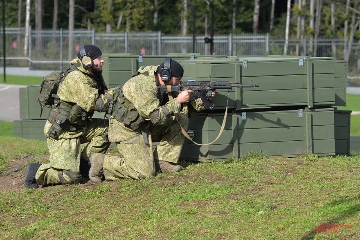    В Челябинской области 142 меры поддержки действует для участников СВО