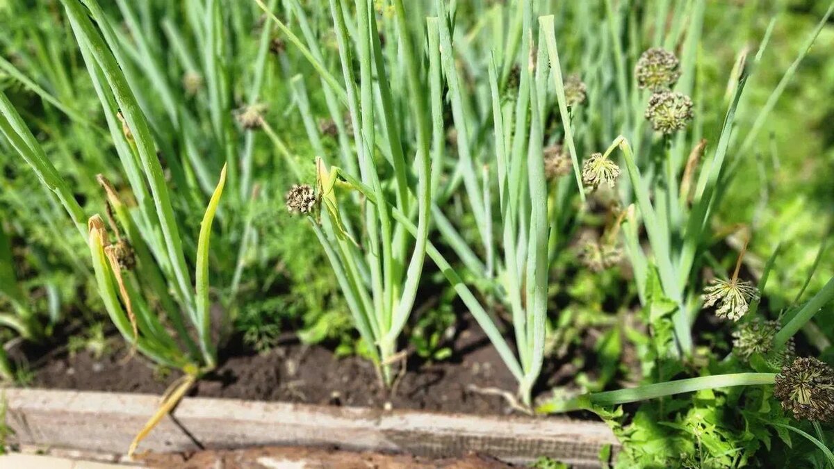 / Фото: REGIONS/Наталья Надточая