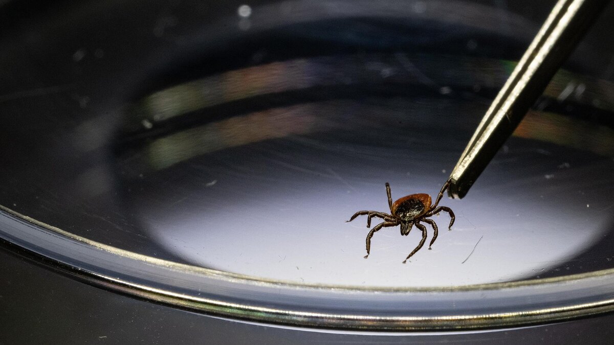 Фото: Marijan Murat/globallookpress.com