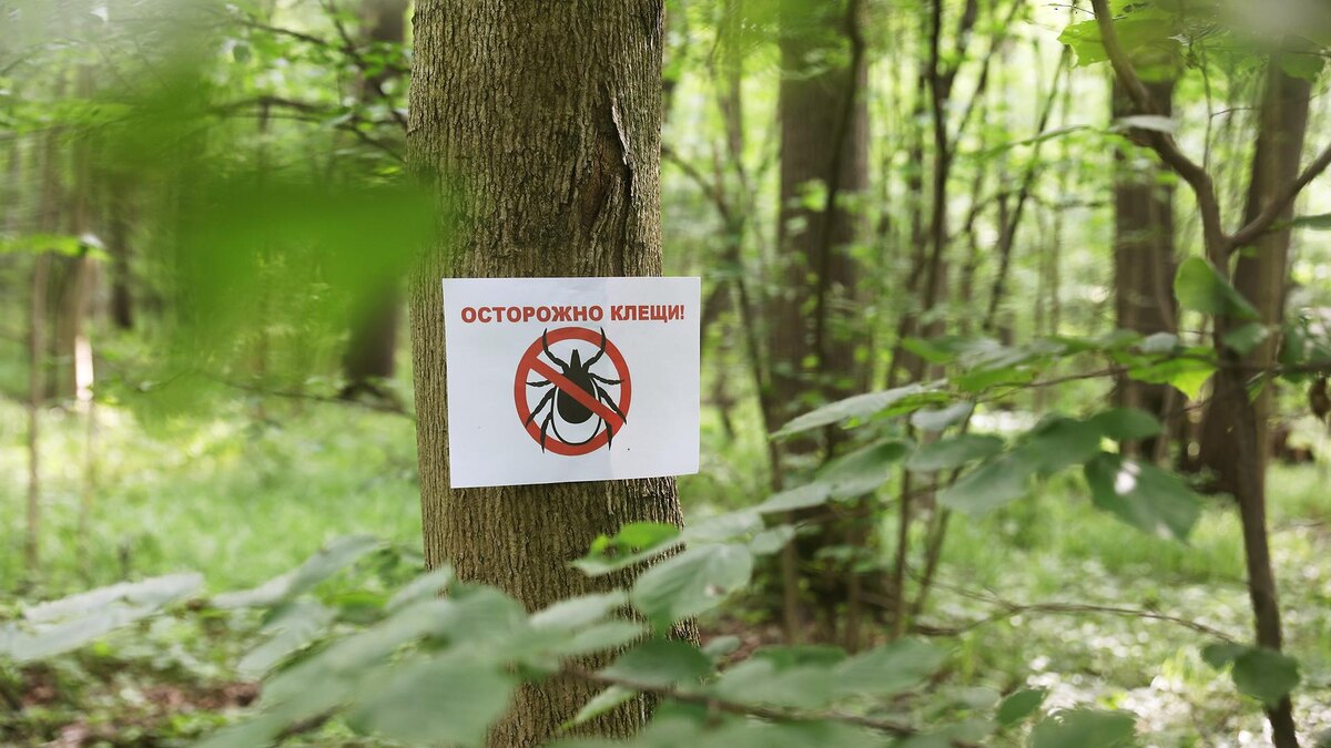 Фото: ИЗВЕСТИЯ/Юлия Храмцова