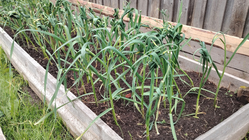    Фото из архива редакции