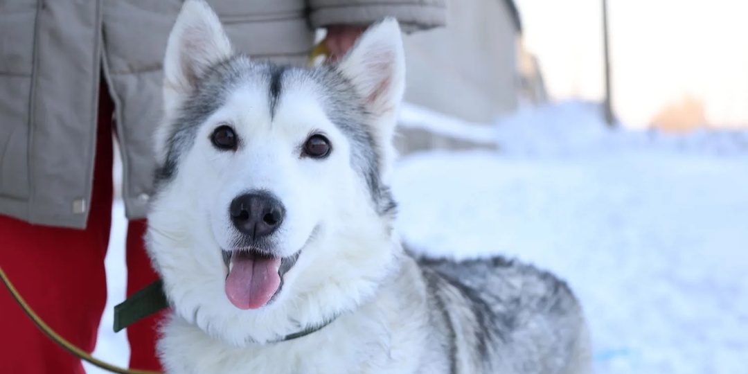 Пережила предательство. Помогите Лоре найти любовь!