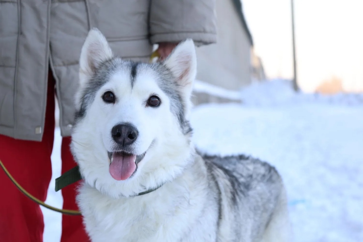 Настала очередь Лоры обрести своё счастье!