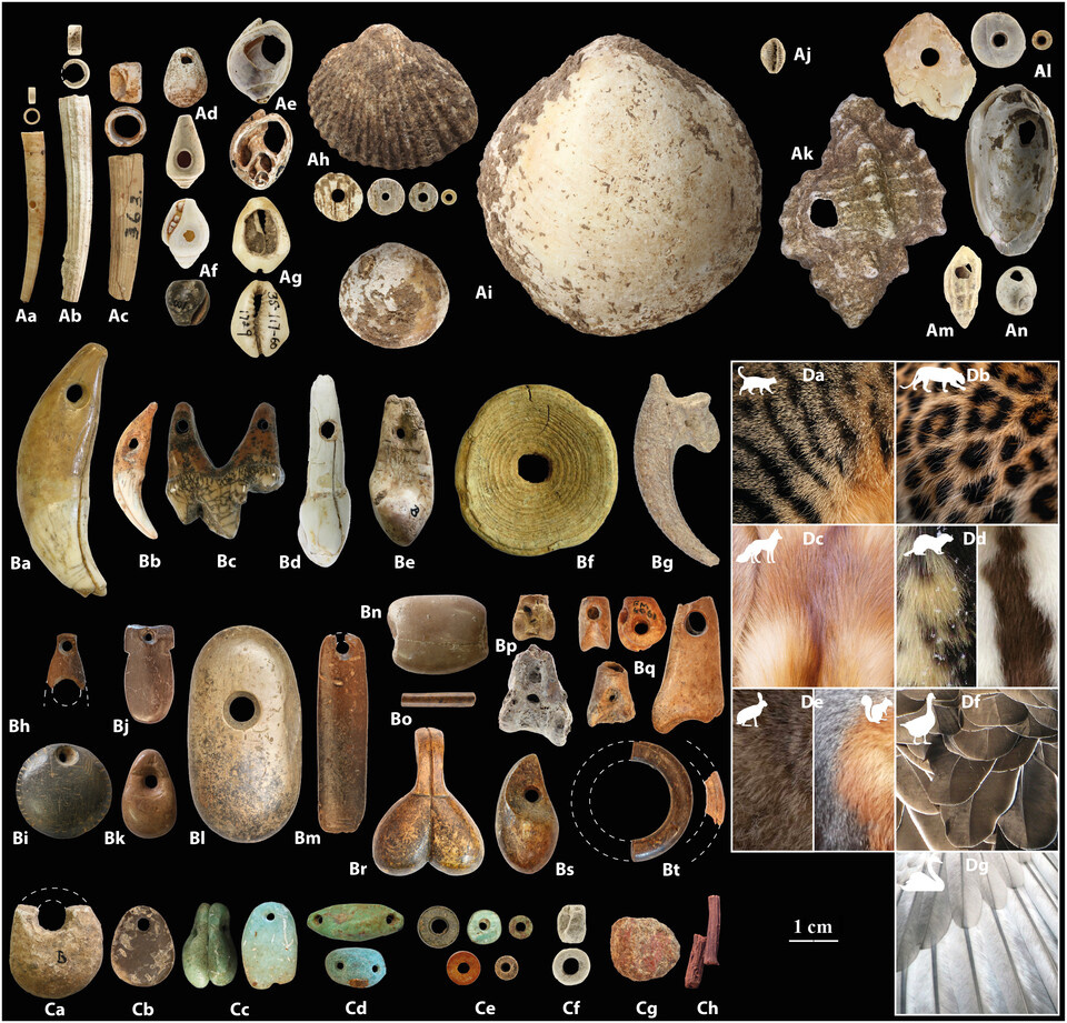   Laurent Davin et al. / Science Advances, 2026
