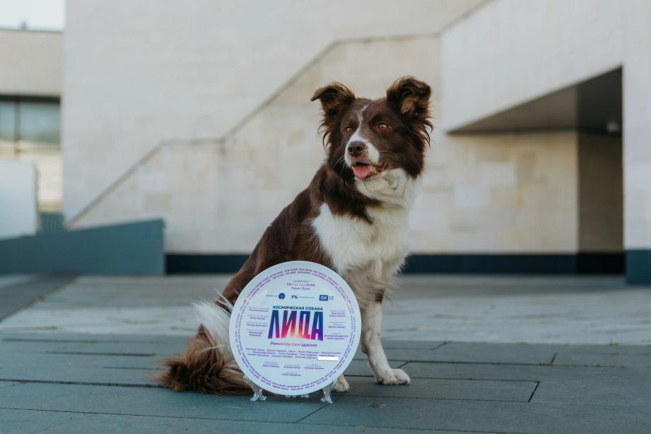 Кадр из фильма "Космическая собака Лида", режиссер Евгений Сангаджиев. Возрастные ограничения 16+