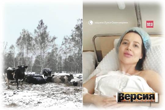    Почему общество готово сопереживать далеко не всем бедам (фото: VK Видео-/ОТС-Горсайт, dzen.ru/Москва FM)