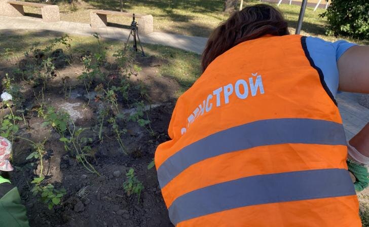    фото Курские известия