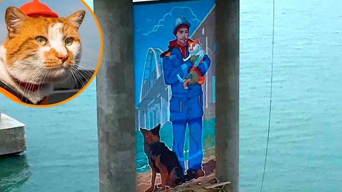 Кот Мостик...