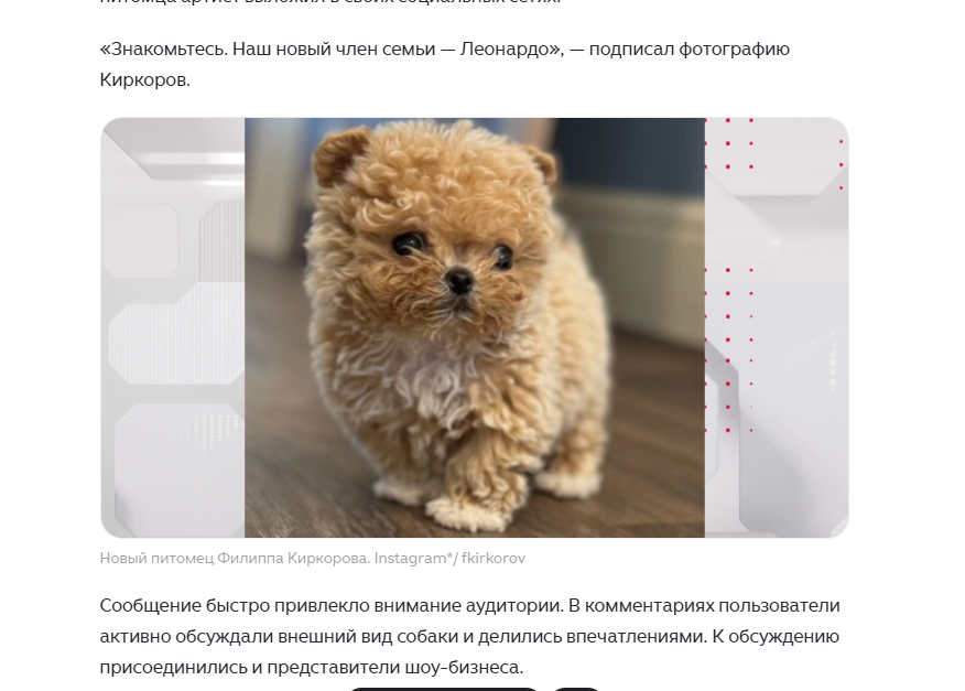 ФОТО: Скриншот статьи 5-tv.ru