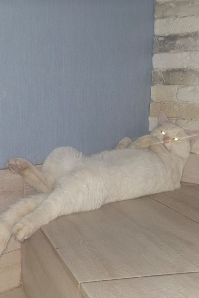 Белинский всех видит насквозь!