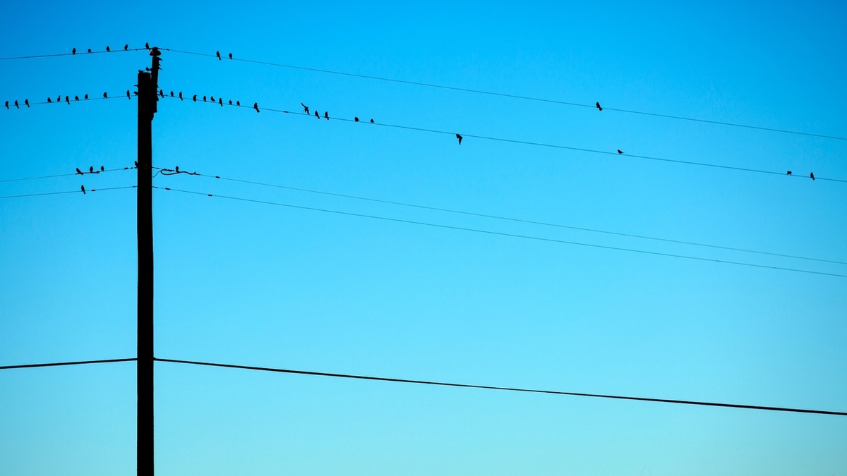 фото: pxhere.com  📷
