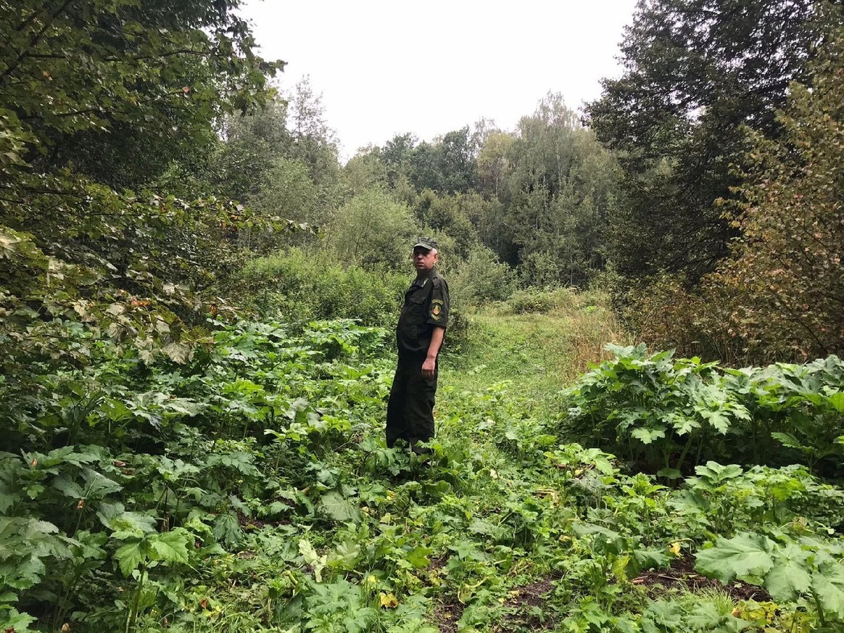    Фото: пресс-служба Комлесхоза МО