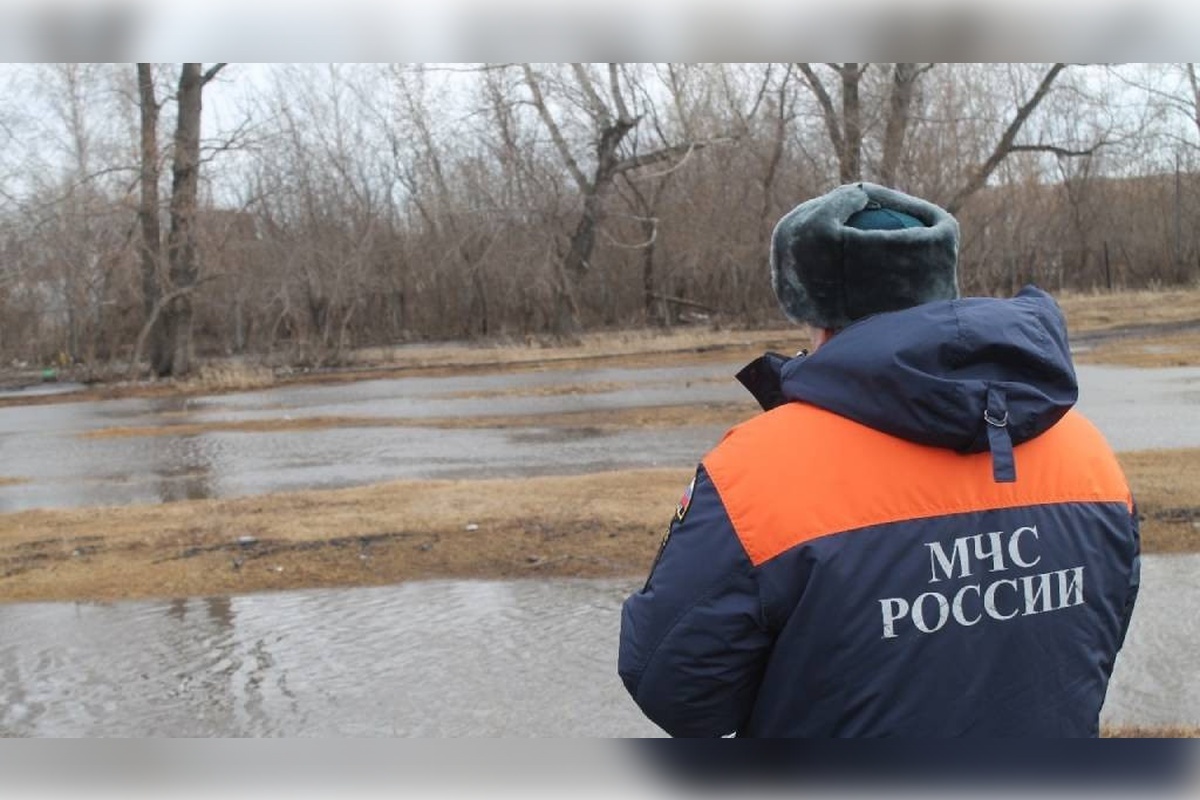    Фото: ГУ МЧС России по Алтайскому краю