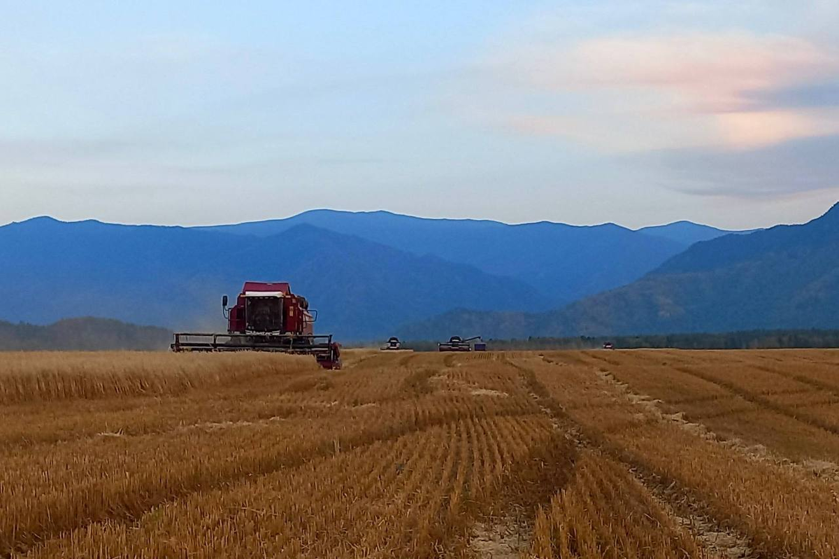    Фото: Правительство Республики Алтай