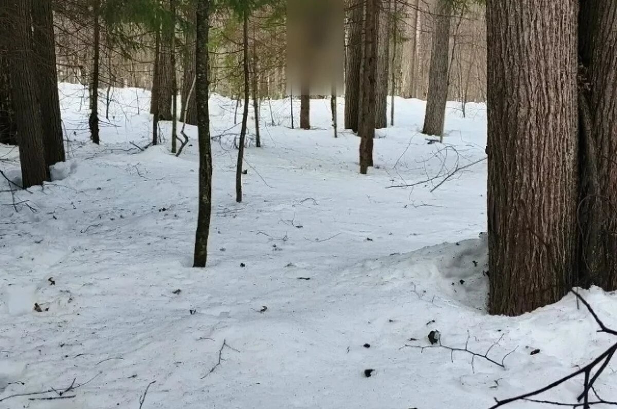    В лесу в Ижевске нашли тело пропавшего 50-летнего мужчины