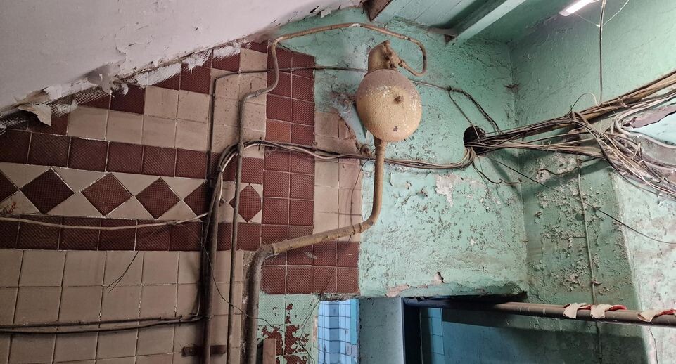    Виктория Фортуна