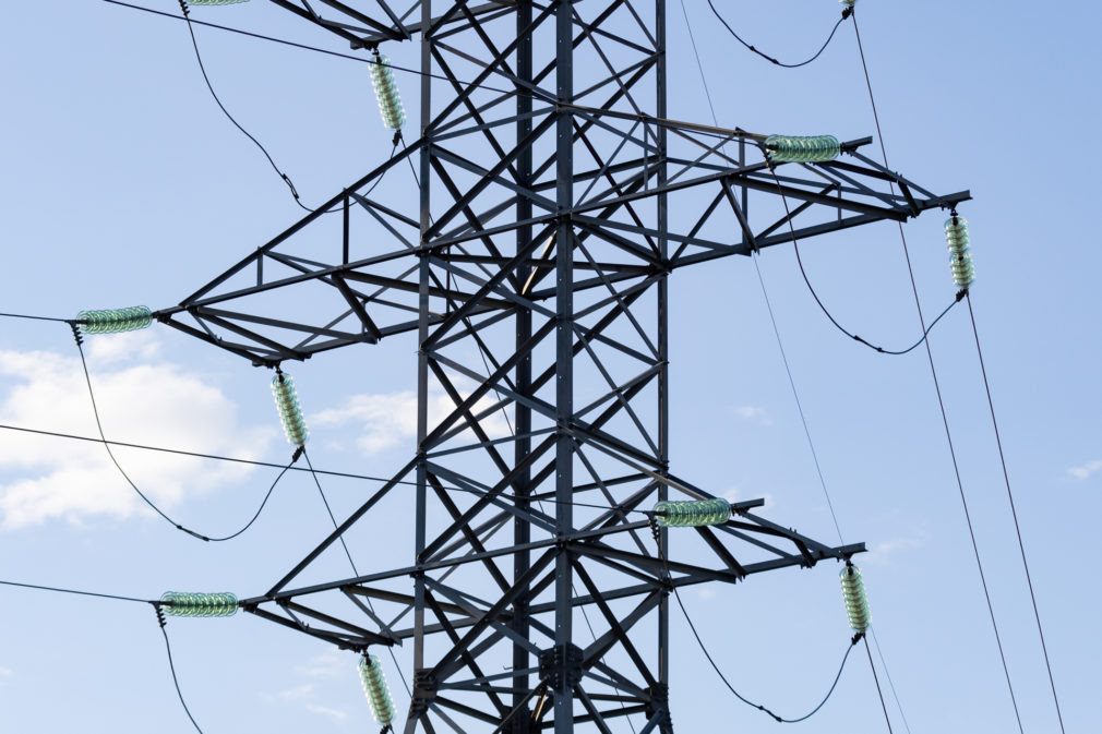    Фото: СвоёТВ/Сергей Пархисенко Светлана Уварова