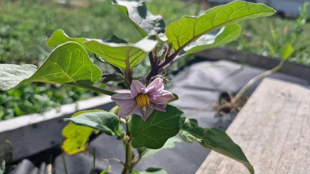 Фото: REGIONS/Наталья Надточая