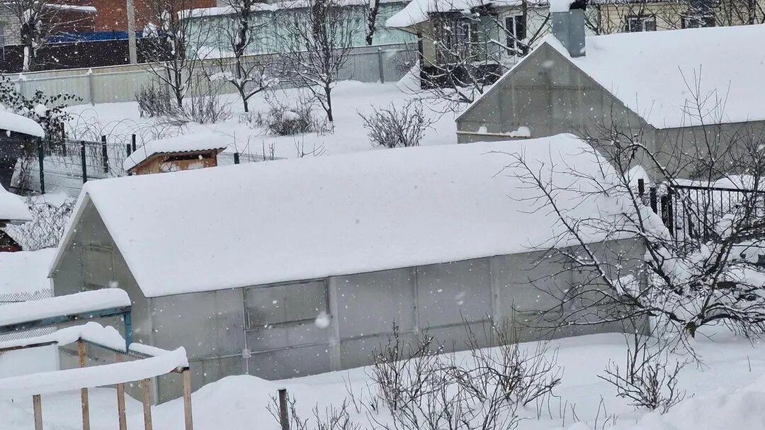 / Фото: REGIONS/Наталья Надточая