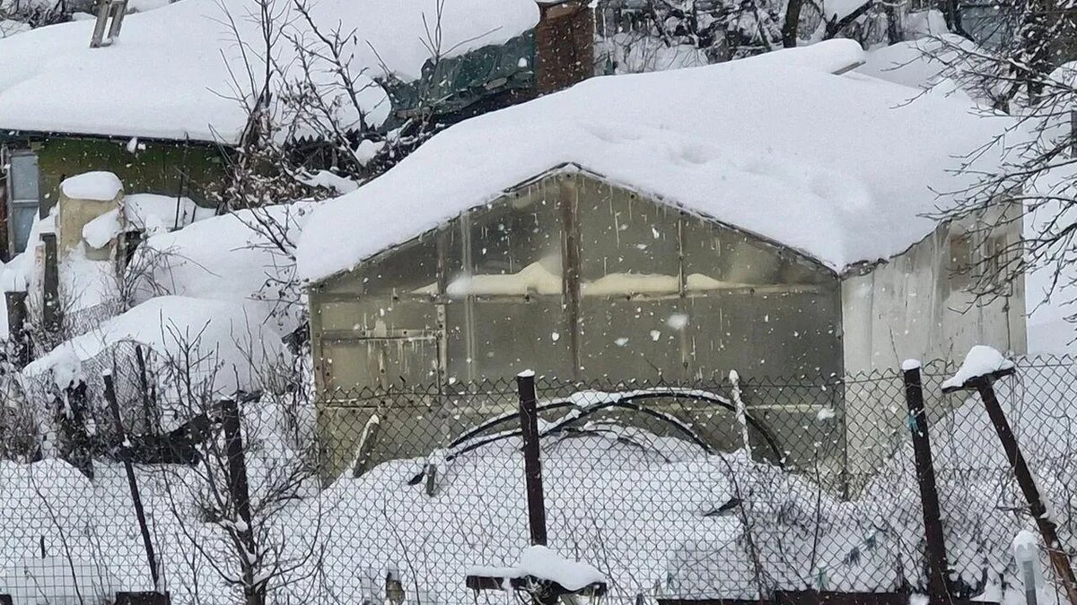 / Фото: REGIONS/Наталья Надточая