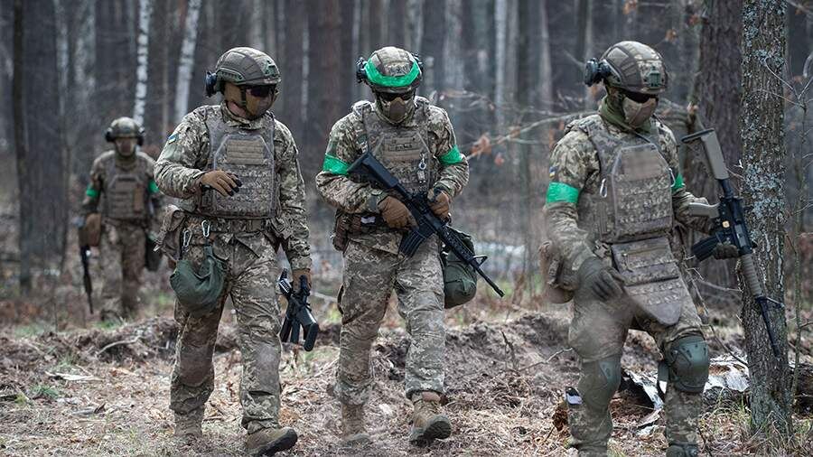    Фото: Global Look Press/Danylo Antoniuk