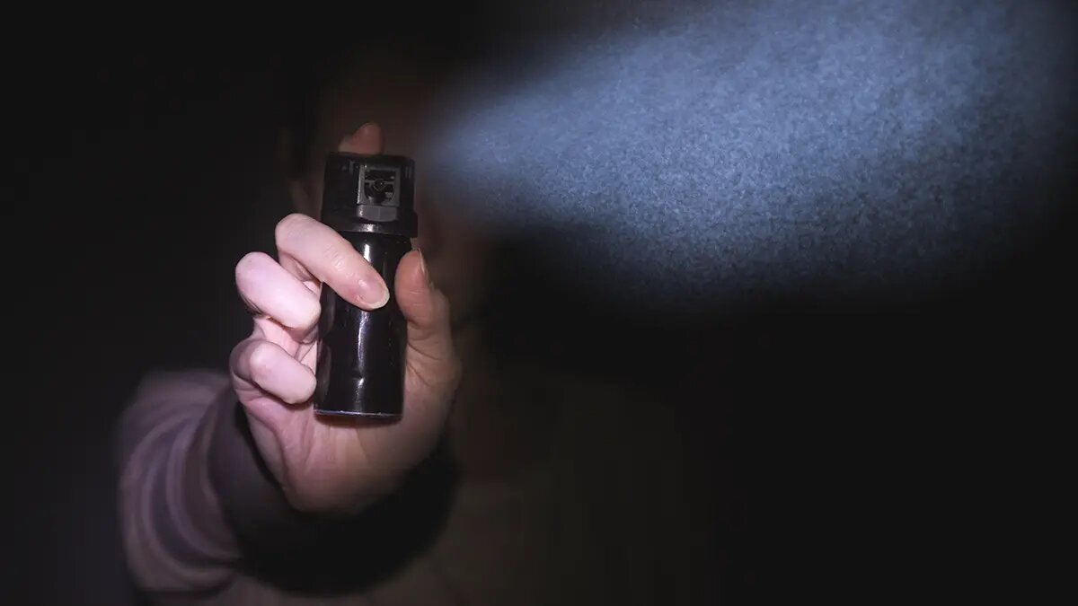    Источник: vm.ru/ Кира Попова