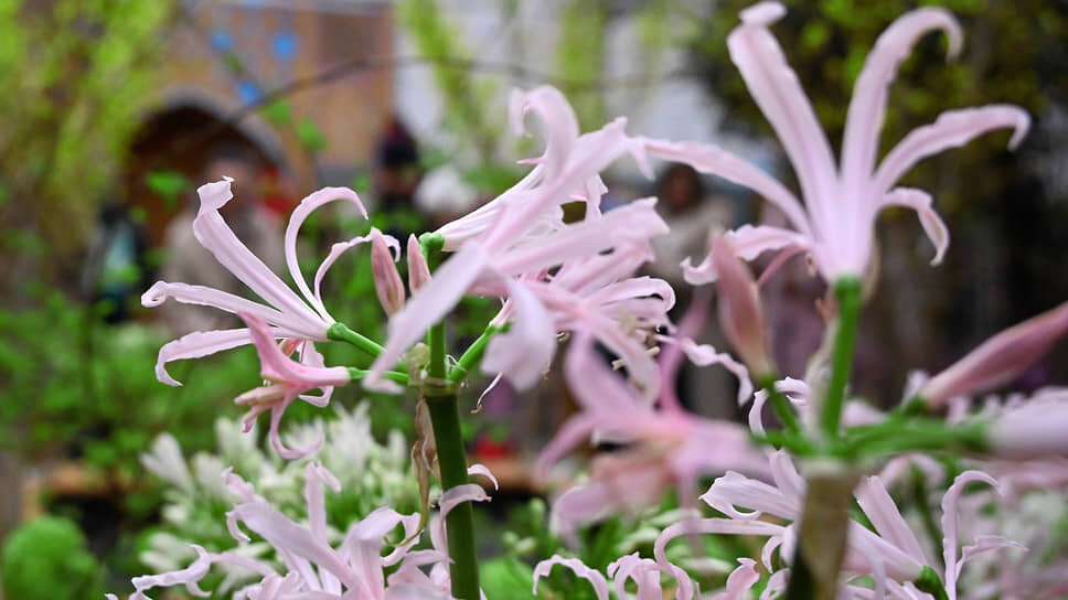 Фото: Антон Новодерёжкин / Коммерсантъ