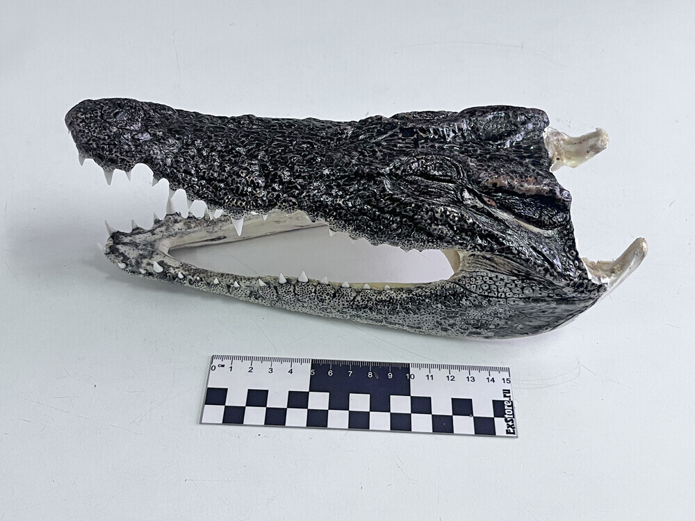    Новосибирск ФТС