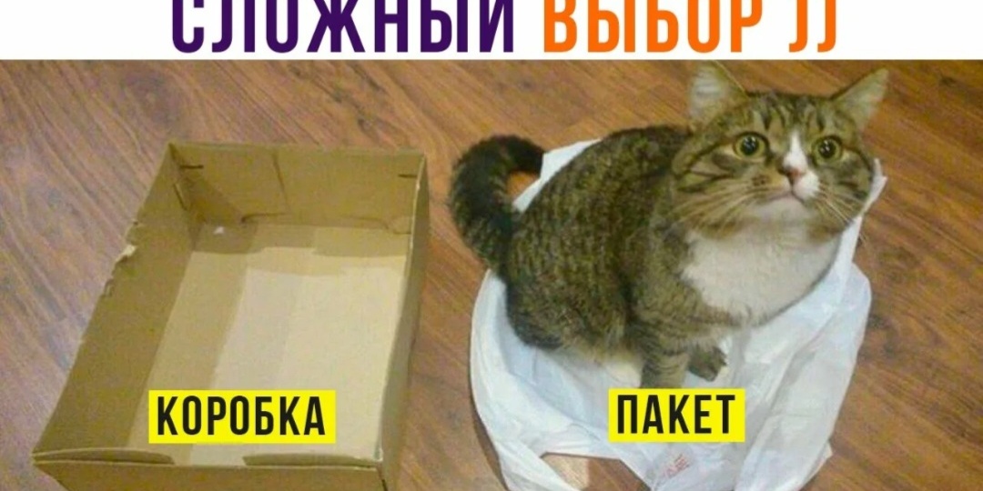 Точка невозврата в инвестициях: почему важно делать выбор?