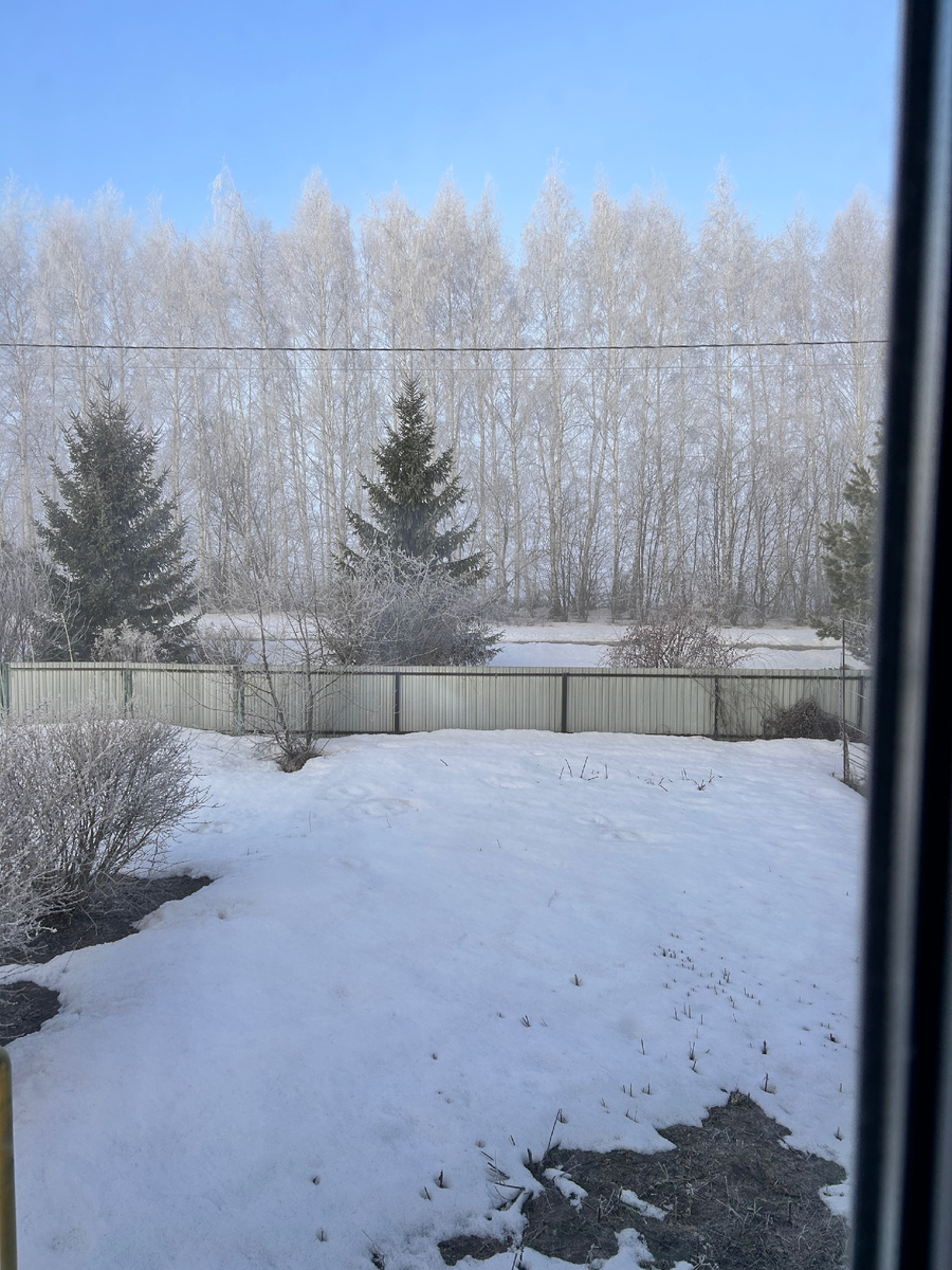 Фото автора. Вид из окна