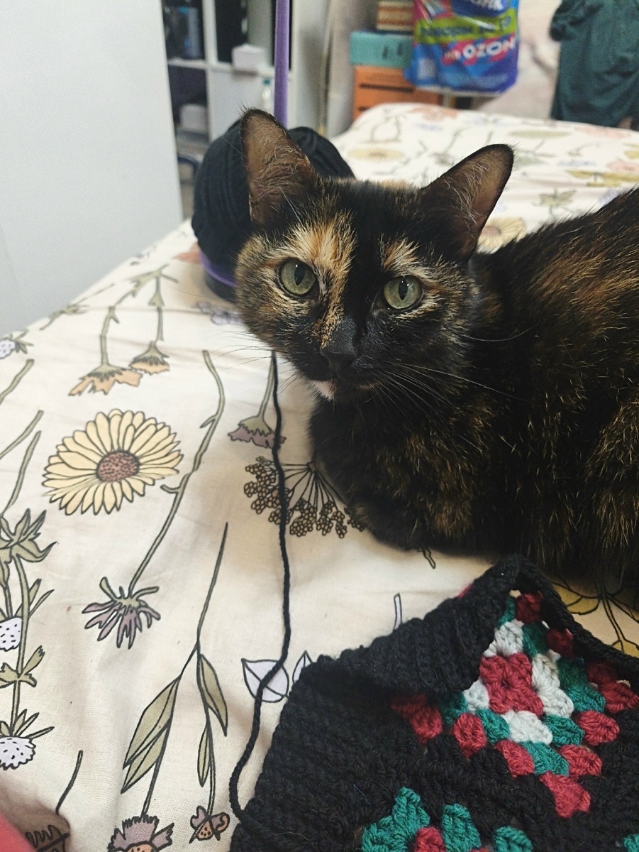 Матрёшка очень любит вязать