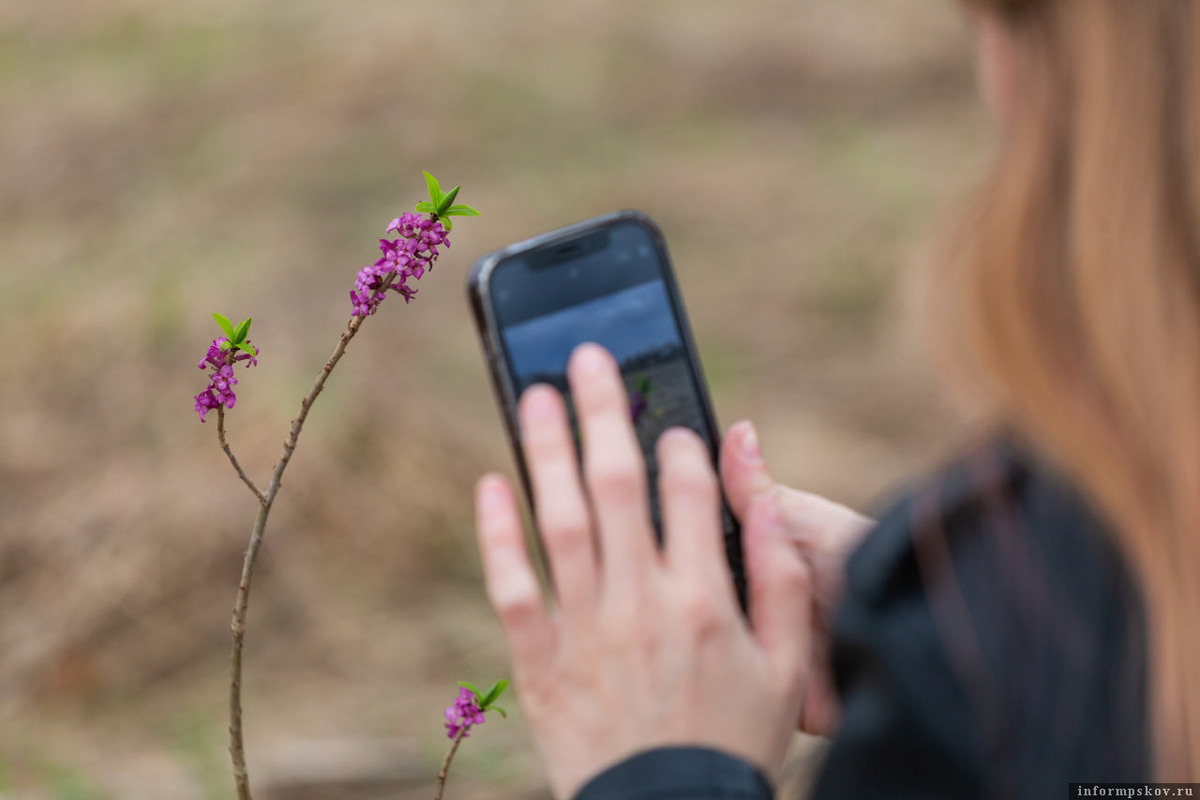 Фото: Анастасия Куртеева / ПАИ