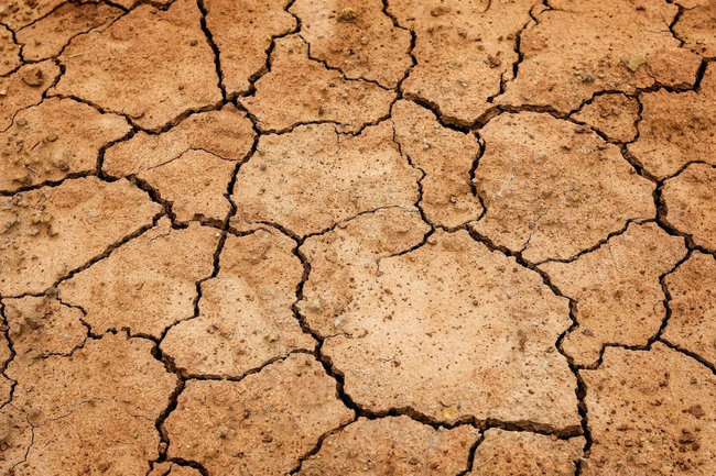 ООН объявила прошедшее десятилетие самым жарким за всю историю наблюдений