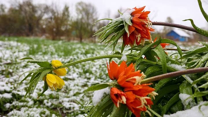  Фото: Ярослав Чингаев / АГН Москва