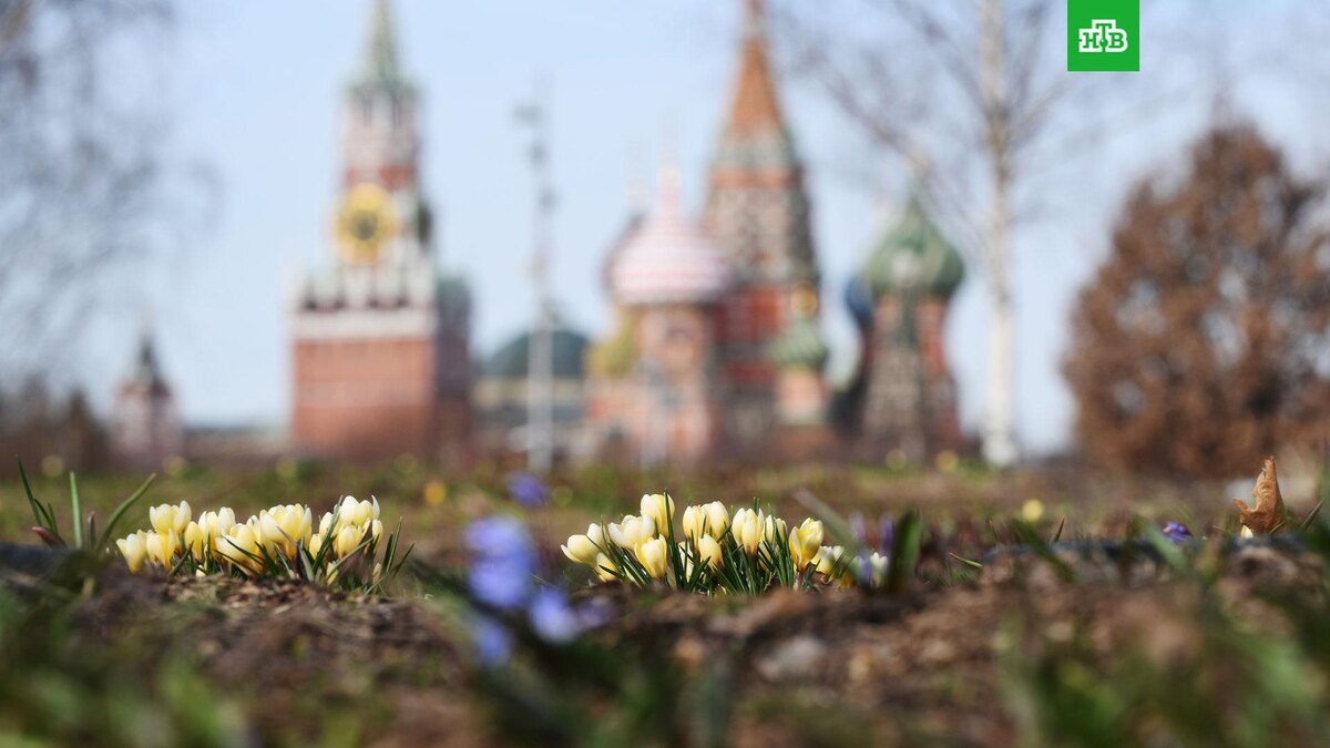    Фото: РИА Новости © 2026, Григорий Сысоев