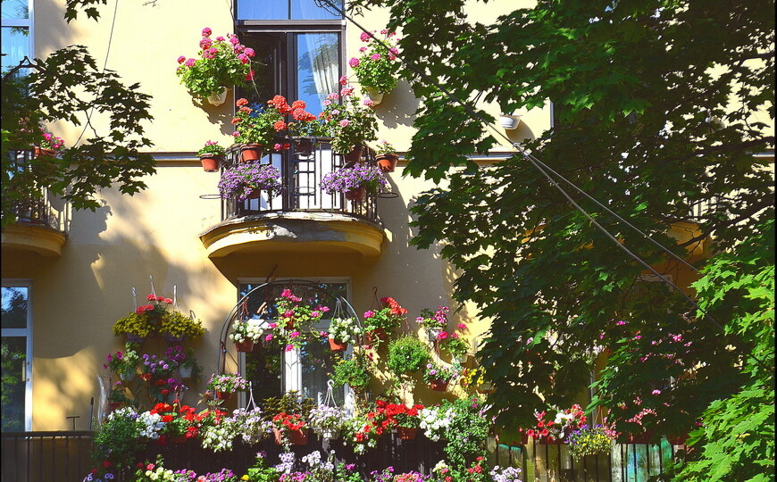 Куда съездить из Петербурга: курортный Зеленогорск. Маршрут прогулки от туриста